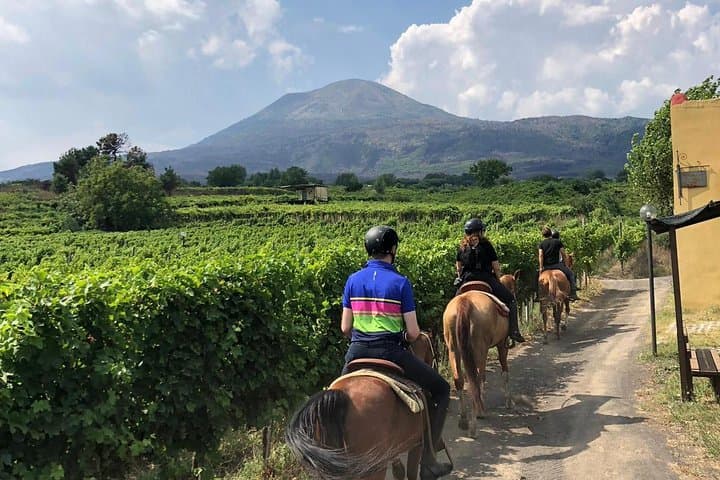 Passeggiata panoramica a cavallo, degustazione di vini e pranzo sul Vesuvio