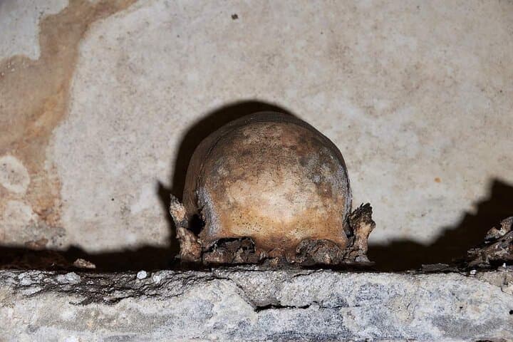 Il Teschio con le Orecchia: Chiesa e Cripta di Santa Luciella ai Librai