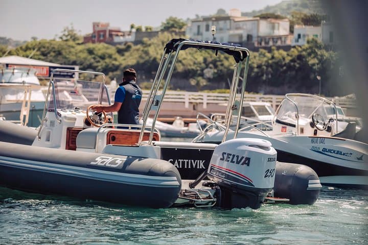 Tour privato dell'isola di Capri in barca o gommone