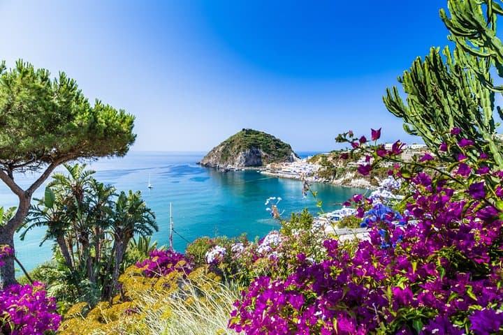 Tour Pomeridiano dell'Isola d'Ischia in Bus