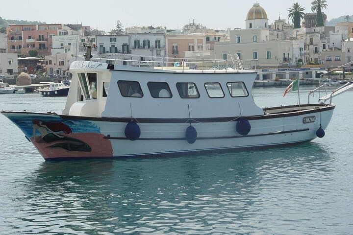 Giro dell' Isola d'Ischia in barca con pranzo e bagno