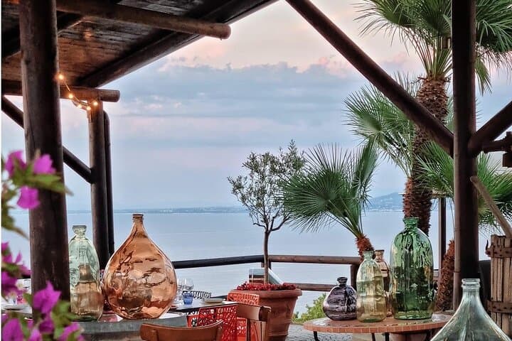 Tour Privato nell'isola d'Ischia con Degustazione di Vino